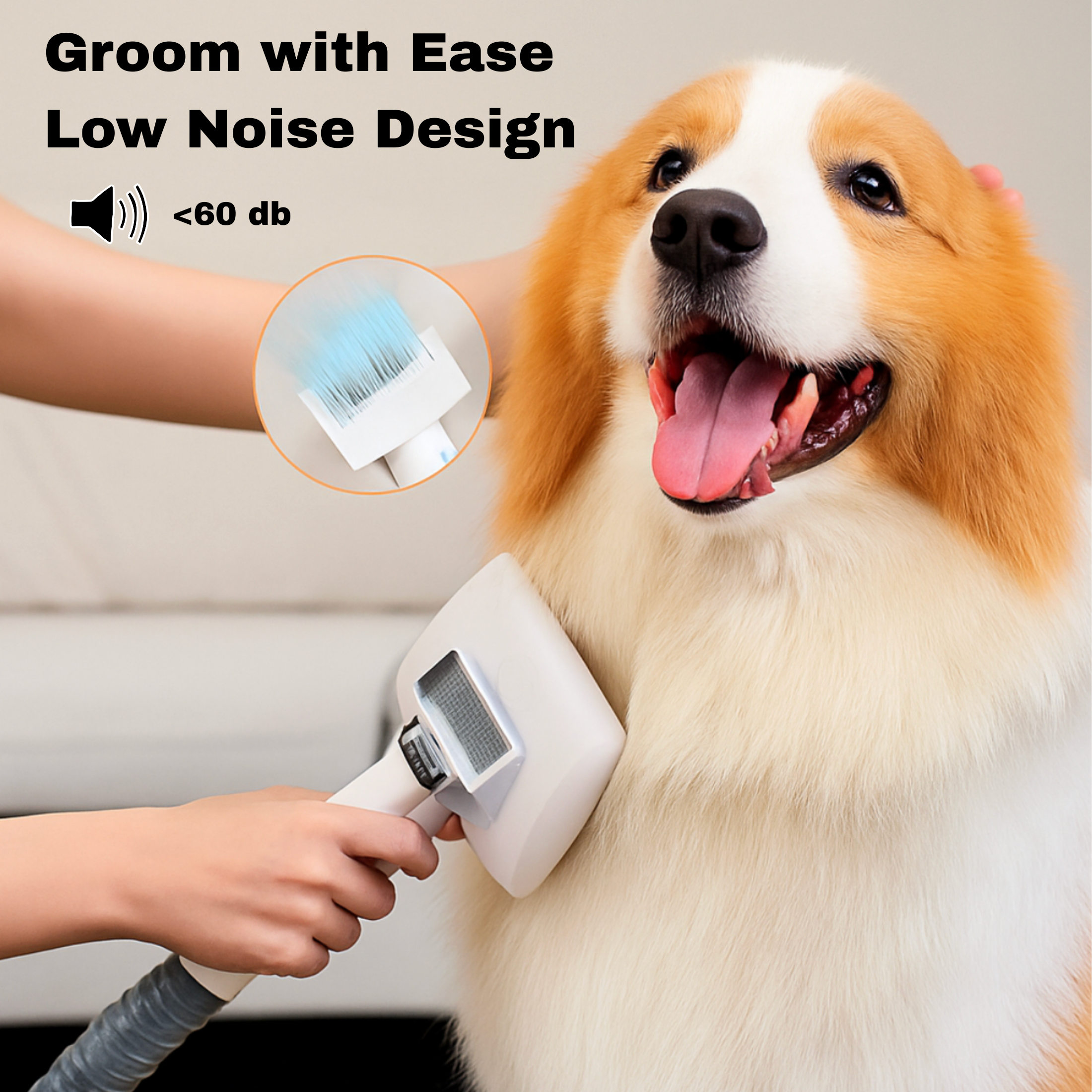 Pet Supplies & Toys